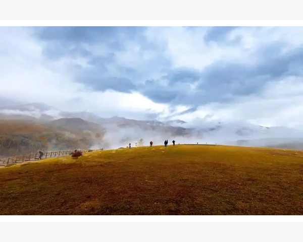 B2B交易核心环节可视化拆解