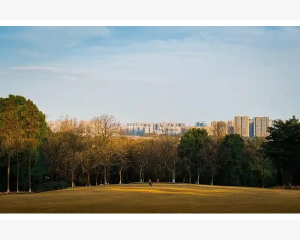 乌鸡汤健脾胃：炖还是煲？